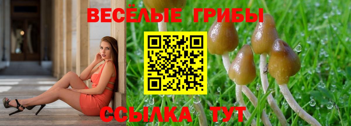 Галлюциногенные грибы MAGIC MUSHROOMS Богородицк